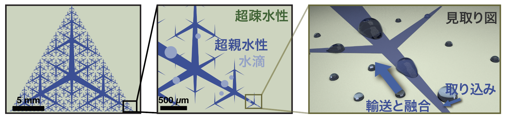 フラクタル流路の構造